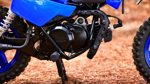 2023 PW50