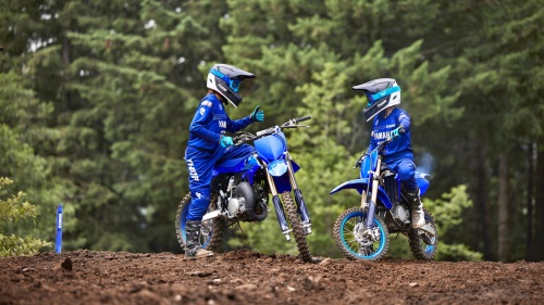 2024 YZ85