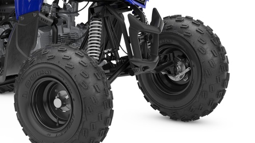 2025 YFM110R