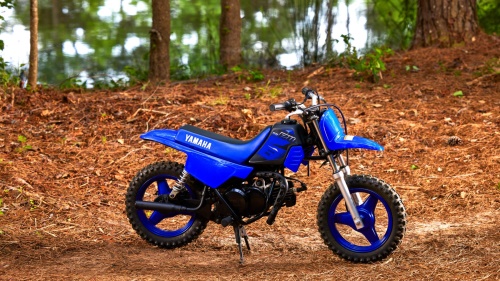 2023 PW50