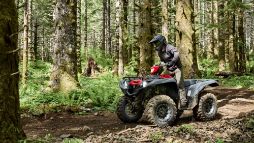 2025 Grizzly 700 