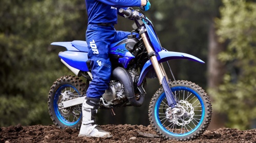 2024 YZ65