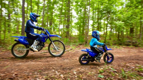 2023 PW50