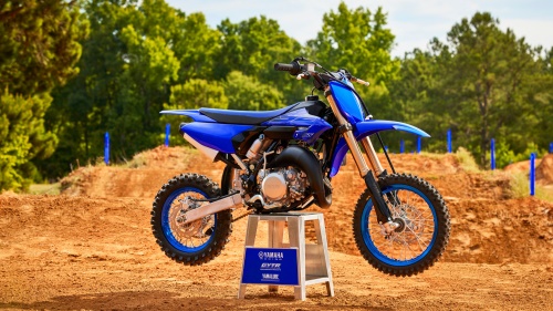2023 YZ65