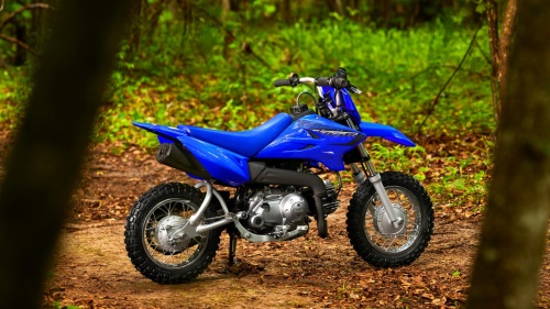 2023 TT-R50