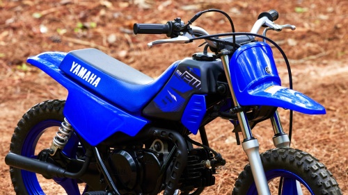 2023 PW50