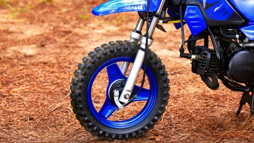 2023 PW50