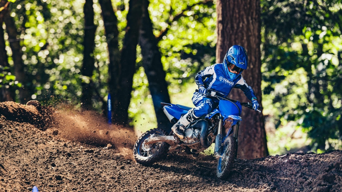 2025 YZ65