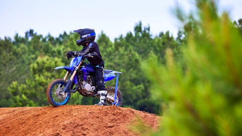 2023 YZ65