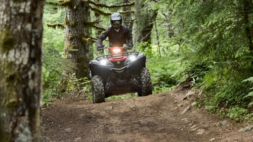 2025 Grizzly 700 