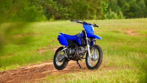 2023 TT-R110
