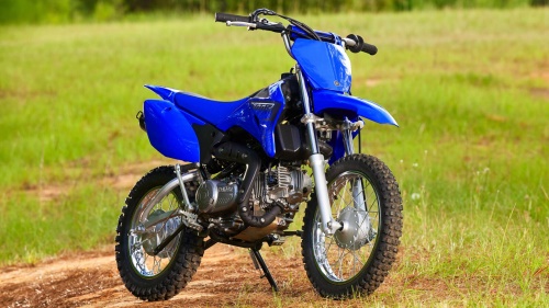2023 TT-R110