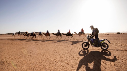 2024 Ténéré 700 World Raid