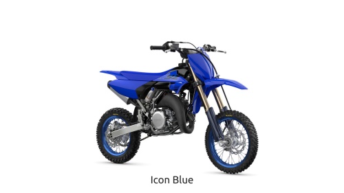 2024 YZ65