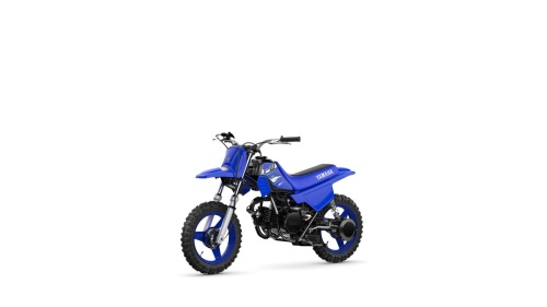 2026 PW50