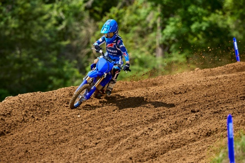 2026 YZ65