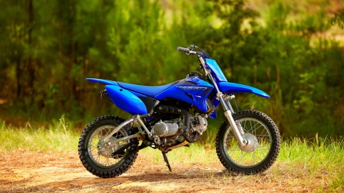 2023 TT-R110