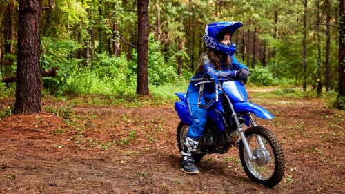 2023 TT-R110