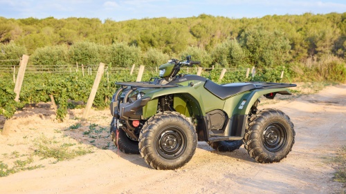 2025 Kodiak 450 EPS