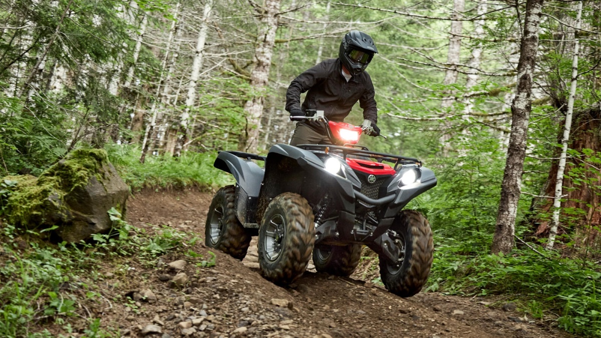 2025 Grizzly 700 