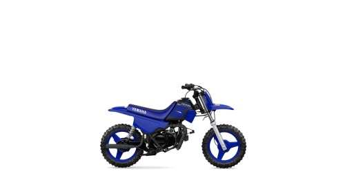 2023 PW50