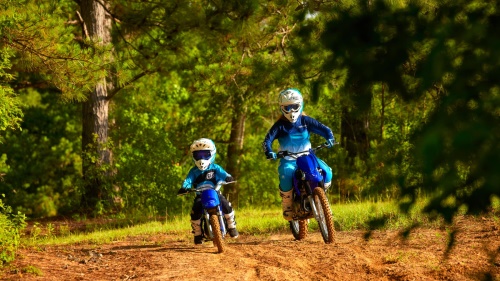 2023 PW50