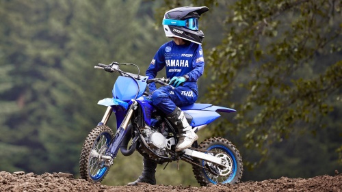 2024 YZ65