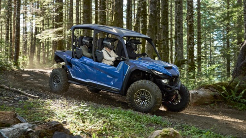 2025 Wolverine® RMAX™4 1000  LE